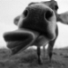 Benutzeravatar