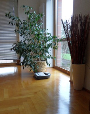 Saugrobbi im Einsatz.JPG