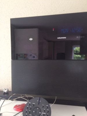 grundig_mist.JPG