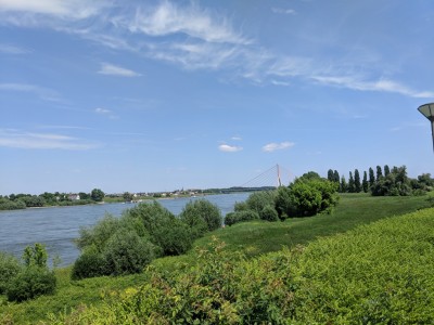 rhein_1.jpg