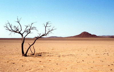 Foto Garten.jpg