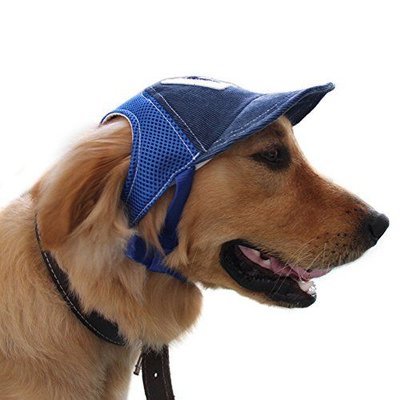 pet dog baseball cap sport  1556724453.jpg