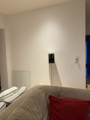 IMG_0237.JPEG