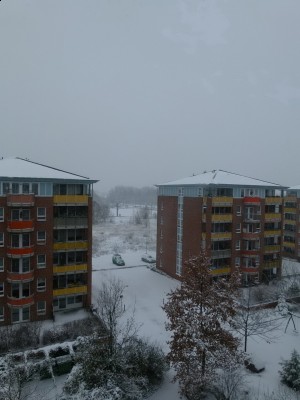 Einfach aus dem Fenster