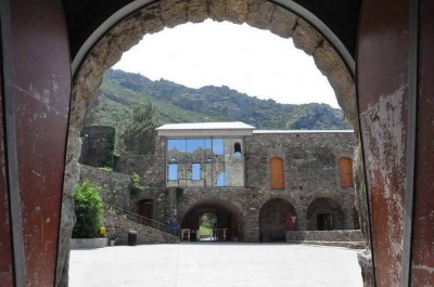 DSC_8923wo.jpg (61.02 KiB) 538 mal betrachtet Um was handelt es sich ?