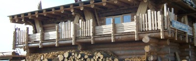 bigwood1.jpg