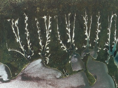 Namibia-LakeShoreInTheEtoshaNationalPark.jpg (232.28 KiB) 444 mal betrachtet Namibia Lake Shore In The Etosha National Park