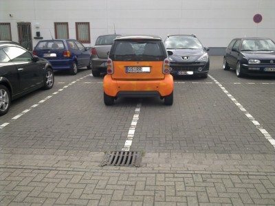 Bild0005_mittel.jpg