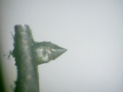 DN160E-SANDOR.jpg