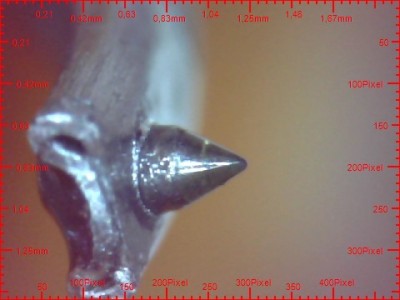 draw_0509-4.jpg