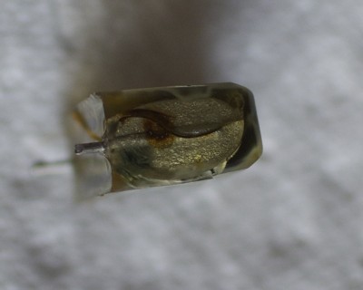 DSC_1382.jpg