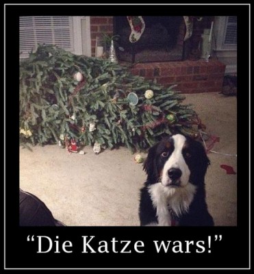 weihnachtsbaum-mit-hund.jpg