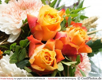 Na dann wilkommen bei den "foristen"<br />(Mit freudlicher Erlaubnis v.cool photos .de)