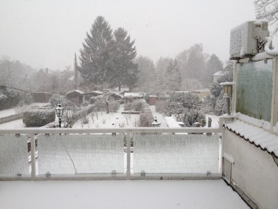 IMG_6475.JPG