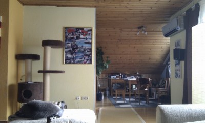 IMAG0489 (800x479).jpg (462.45 KiB) 1014 mal betrachtet Blick auf angrenzenden Essbereich/rechts vom Hörplatz
